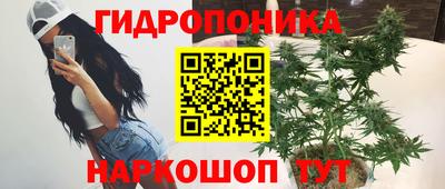 тгк Гусев